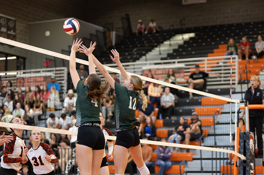 %_tempFileName1M6A5615%