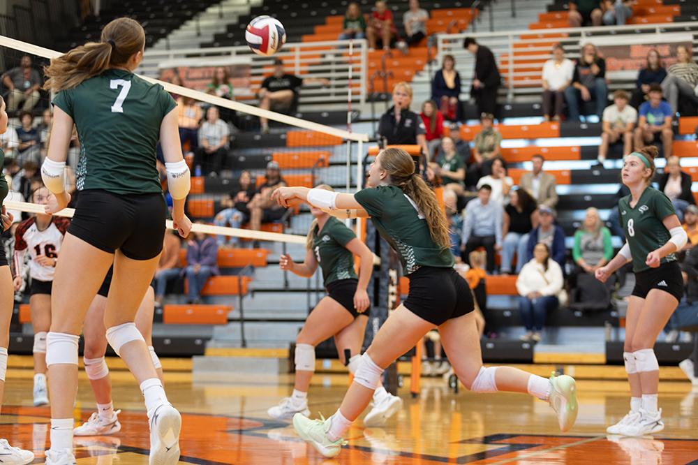 %_tempFileName1M6A5618%