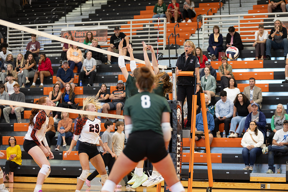 %_tempFileName1M6A5633%