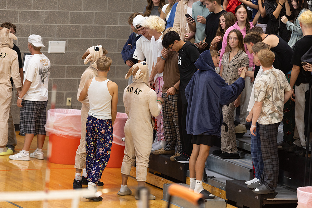 %_tempFileName1M6A5641%