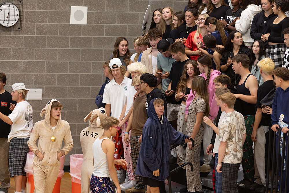 %_tempFileName1M6A5643%