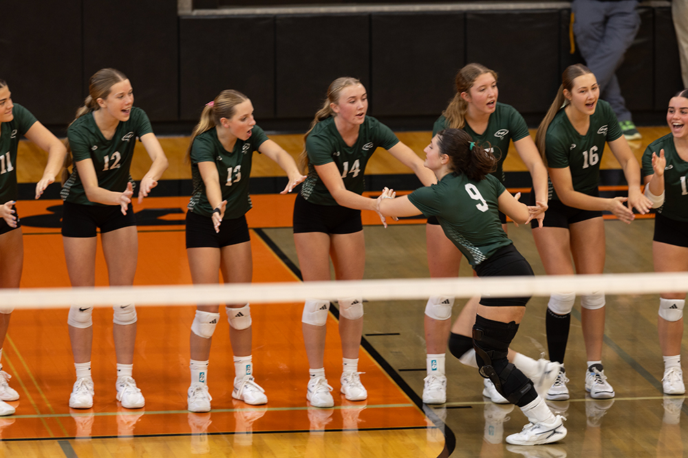 %_tempFileName1M6A5711%