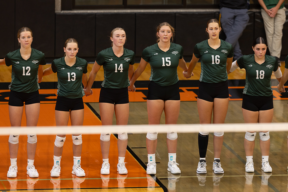 %_tempFileName1M6A5803%