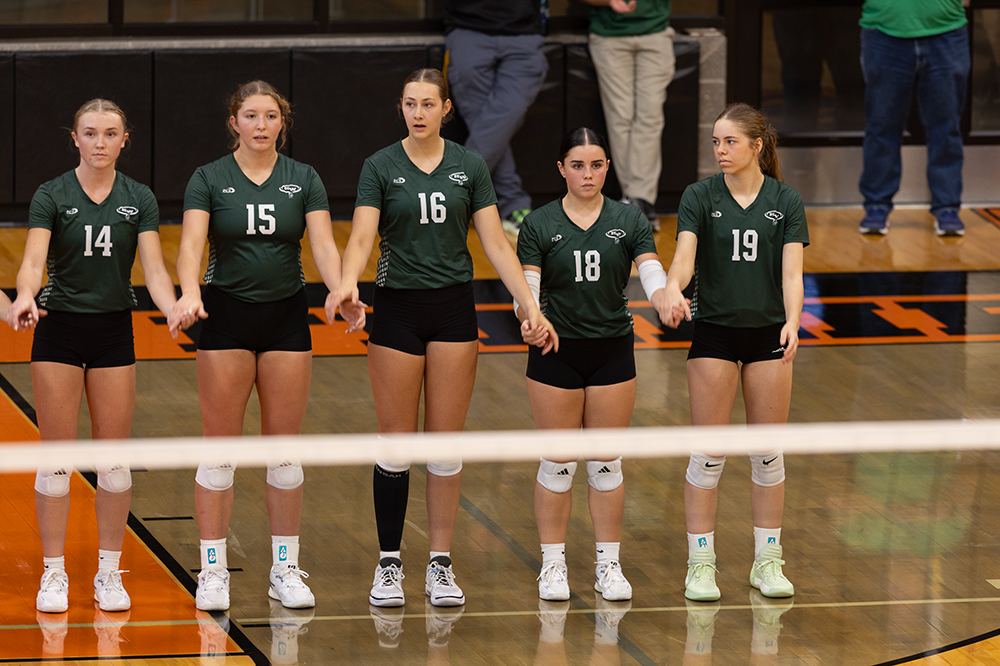 %_tempFileName1M6A5805%