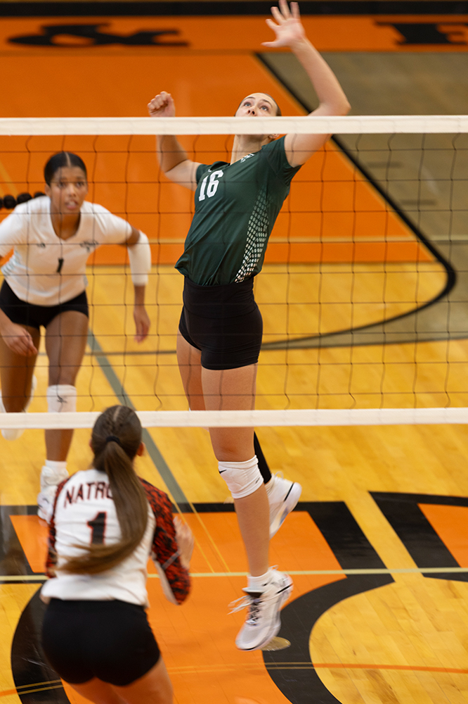 %_tempFileName1M6A5843%