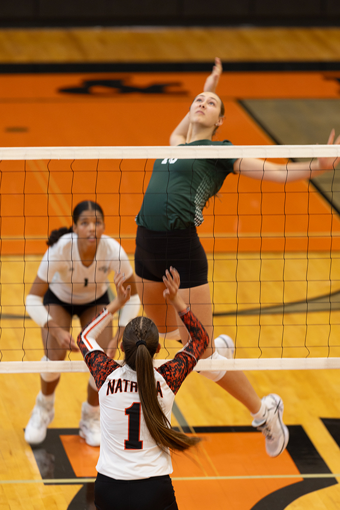 %_tempFileName1M6A5845%