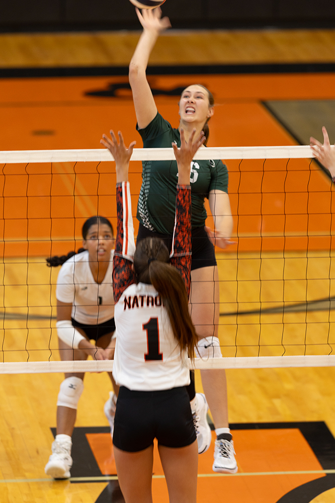 %_tempFileName1M6A5847%