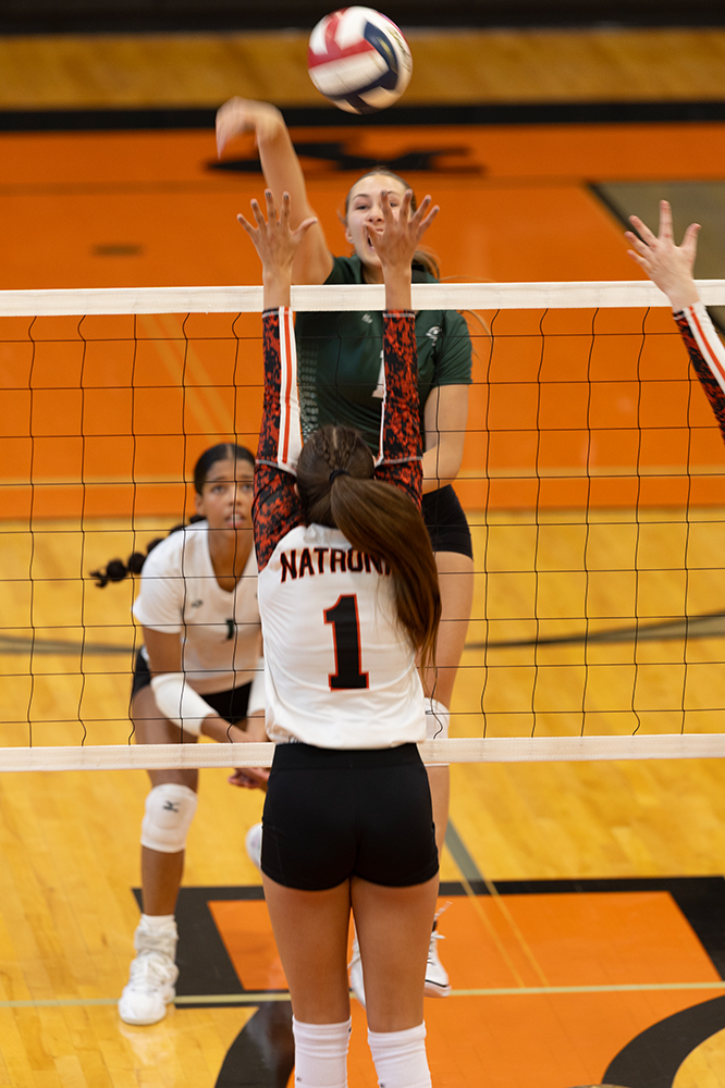 %_tempFileName1M6A5848%