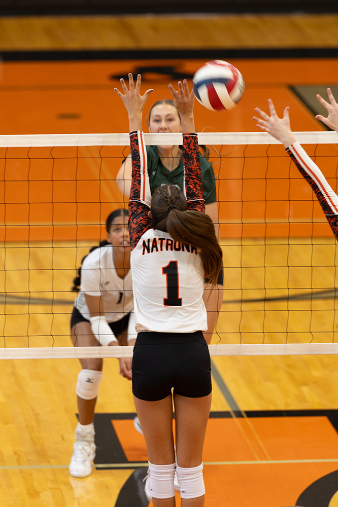 %_tempFileName1M6A5849%