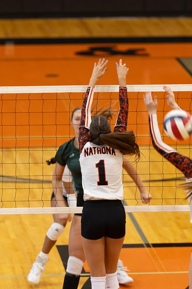 %_tempFileName1M6A5851%