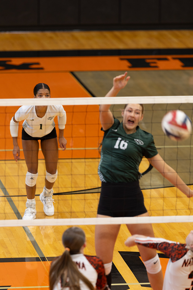 %_tempFileName1M6A5854%