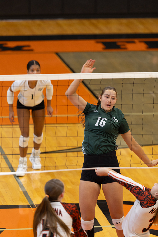 %_tempFileName1M6A5855%