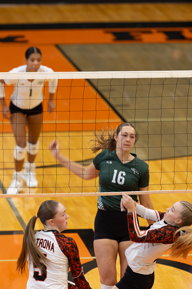 %_tempFileName1M6A5857%