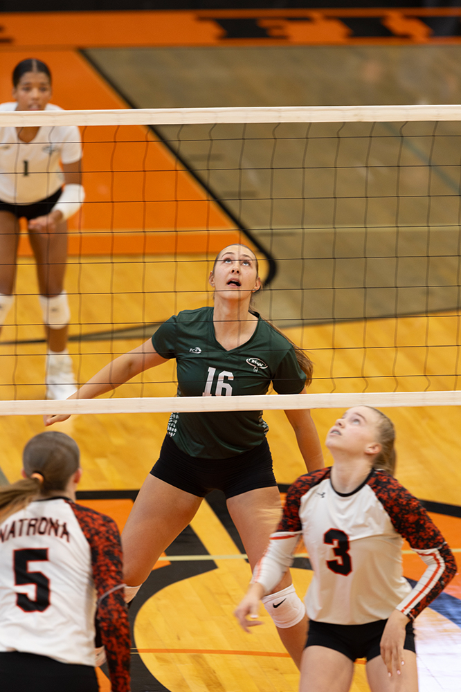 %_tempFileName1M6A5862%