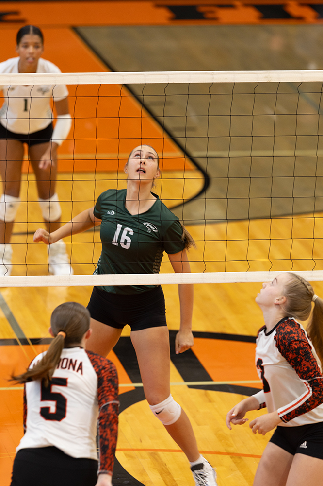 %_tempFileName1M6A5864%