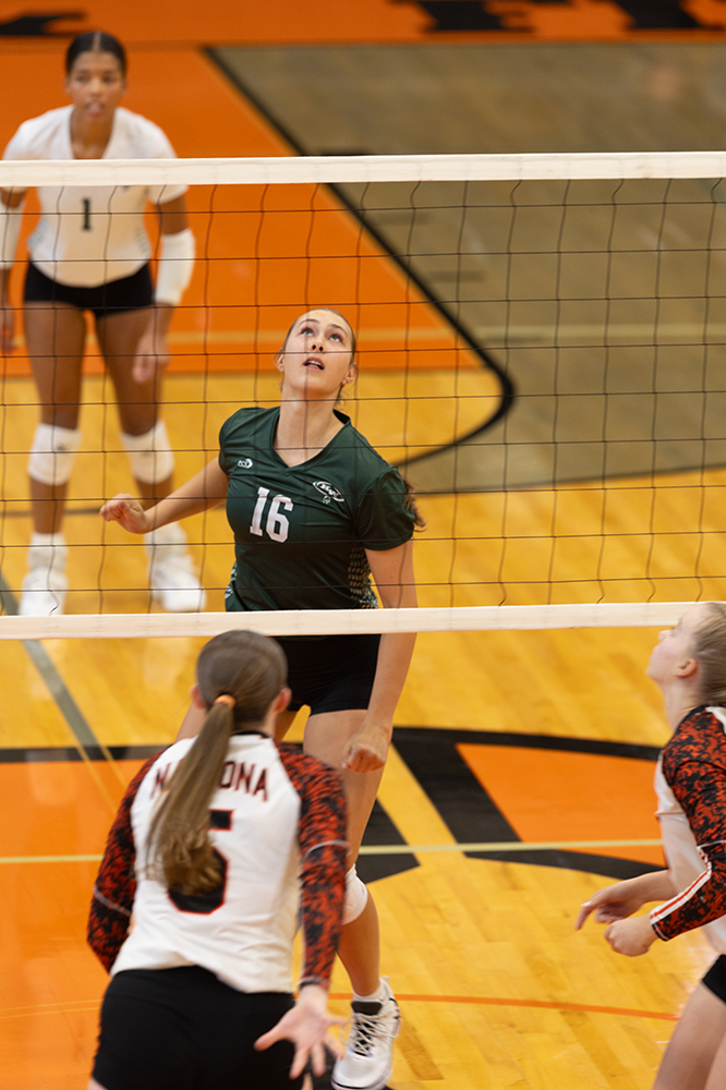 %_tempFileName1M6A5865%