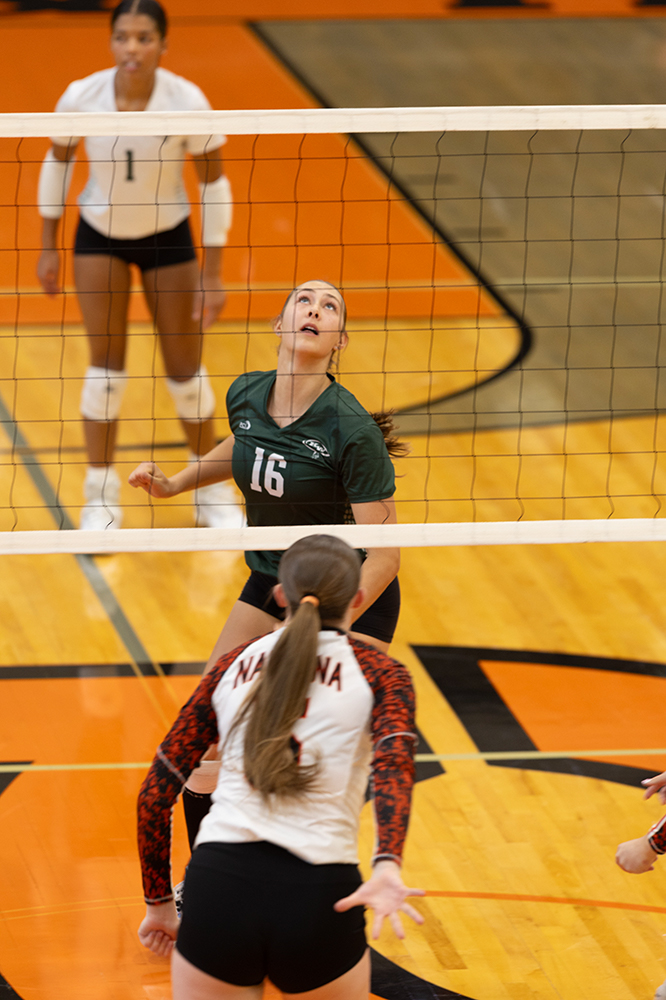 %_tempFileName1M6A5866%