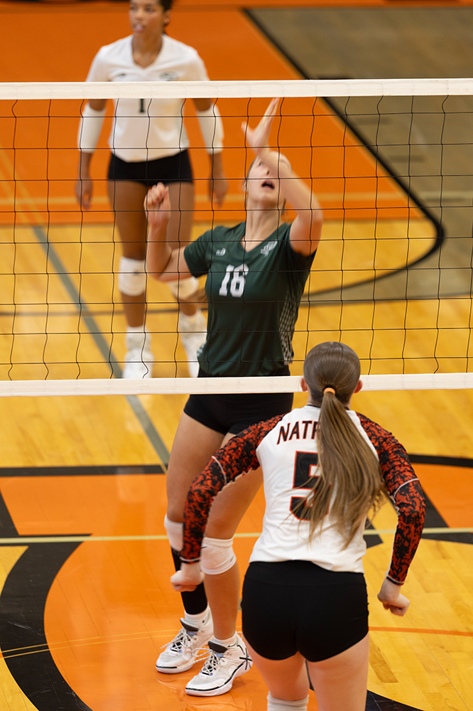 %_tempFileName1M6A5869%