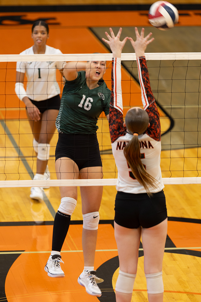 %_tempFileName1M6A5873%