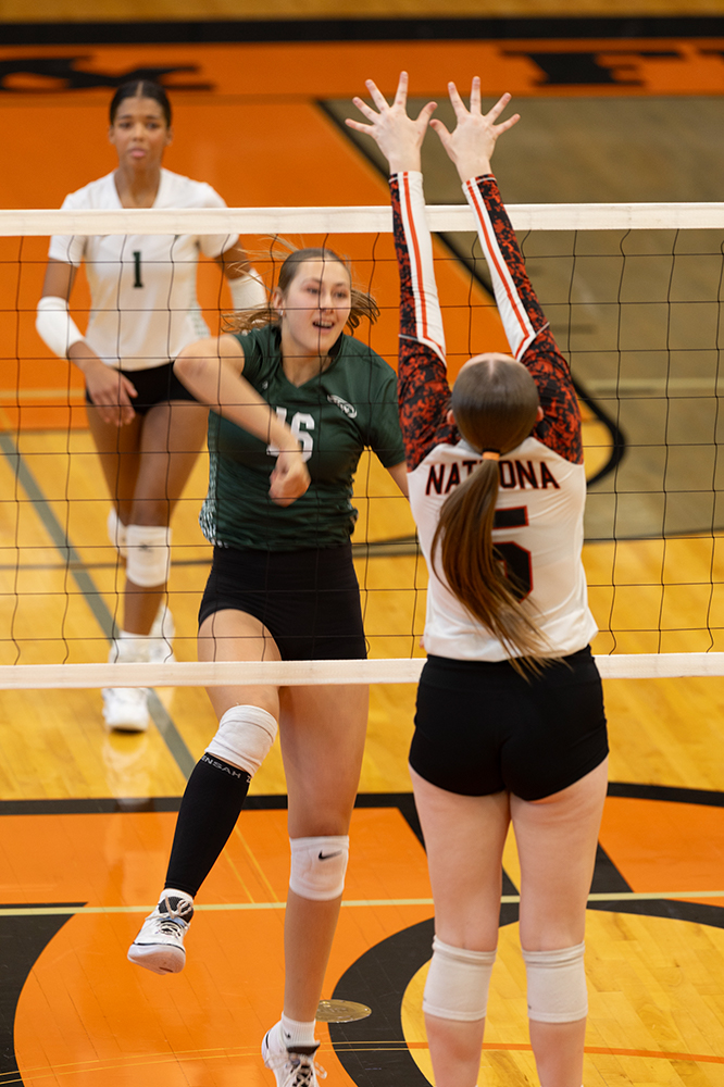 %_tempFileName1M6A5874%