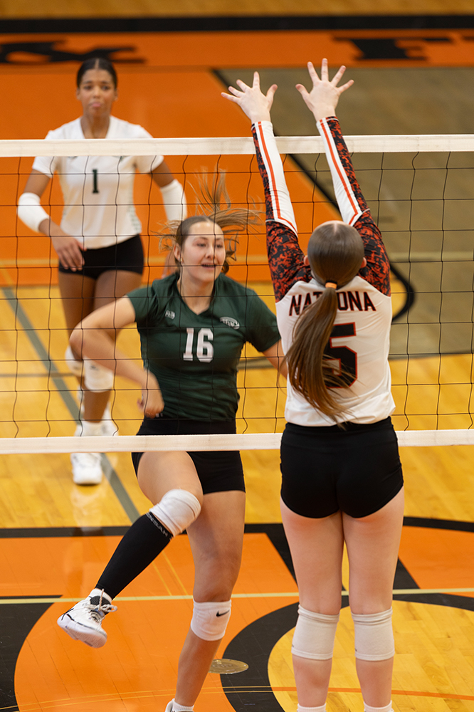 %_tempFileName1M6A5875%