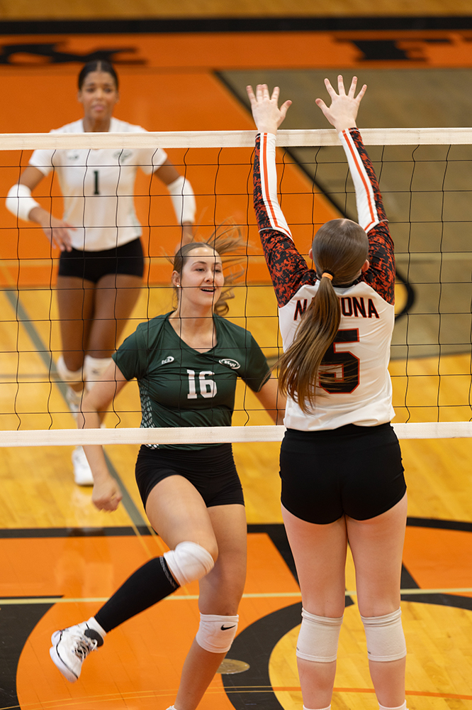 %_tempFileName1M6A5876%