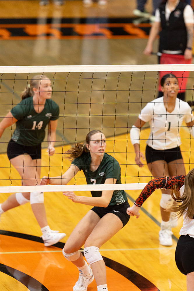 %_tempFileName1M6A5901%