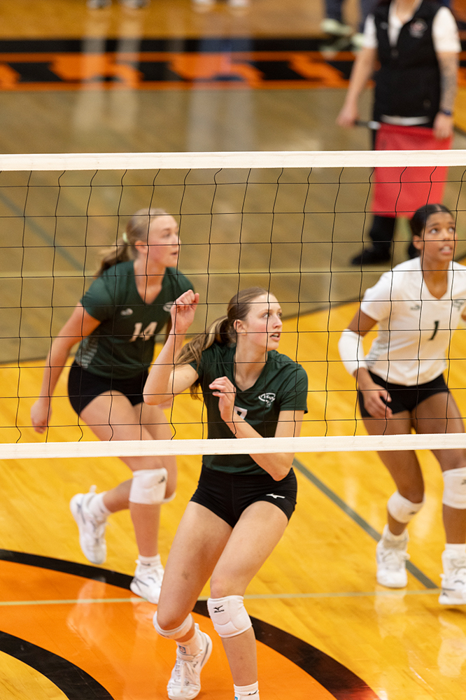 %_tempFileName1M6A5903%