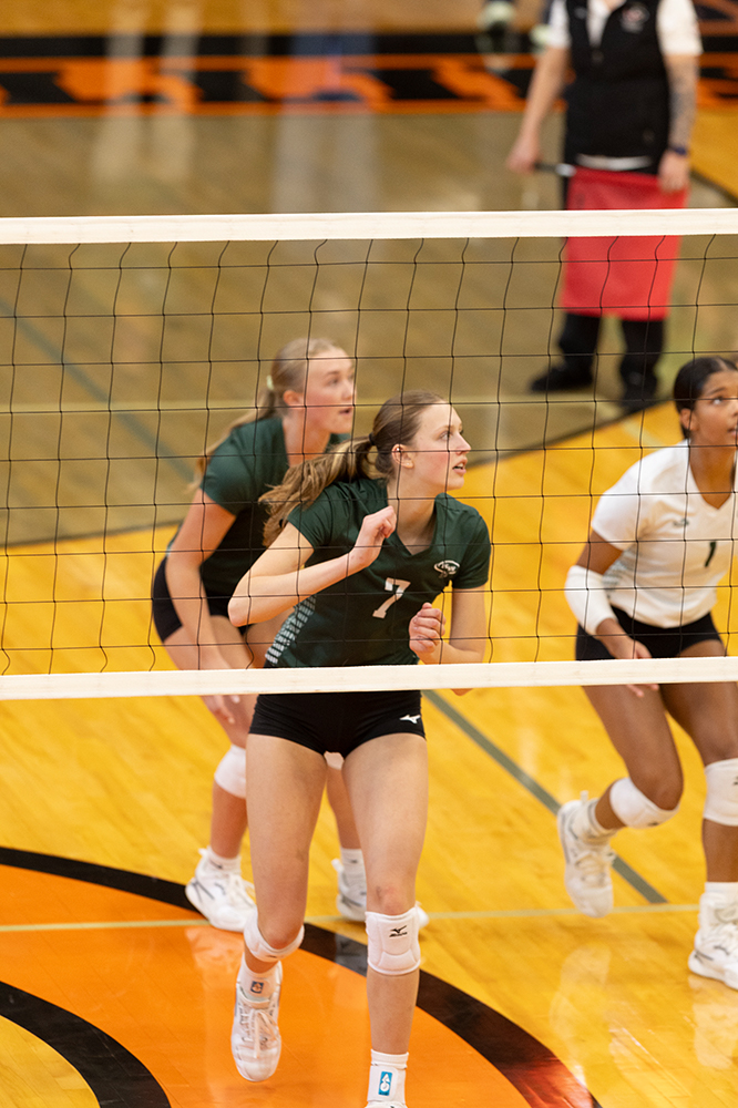 %_tempFileName1M6A5905%