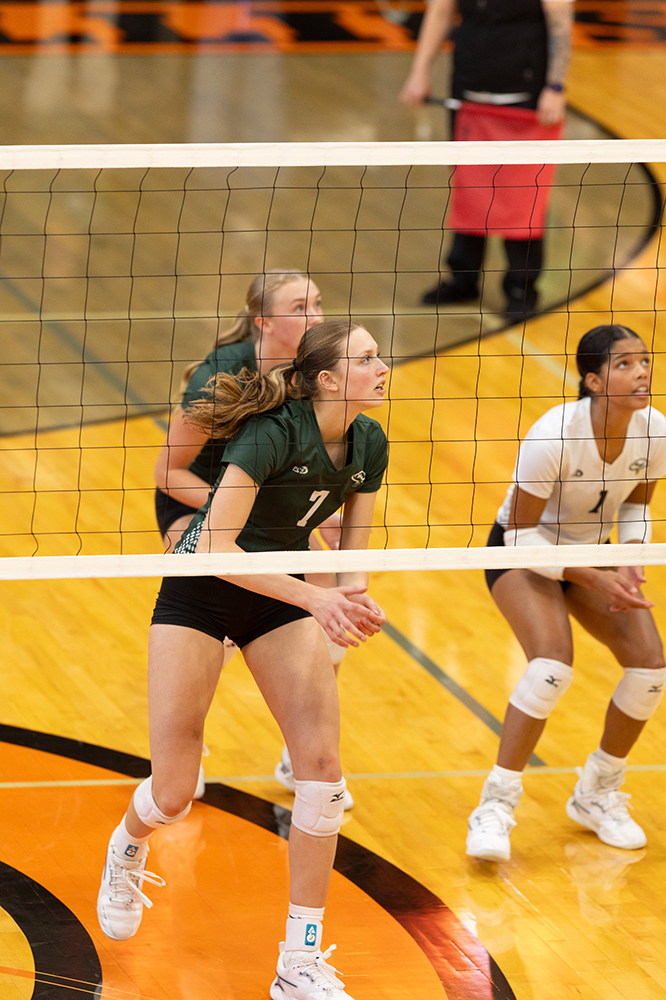 %_tempFileName1M6A5907%