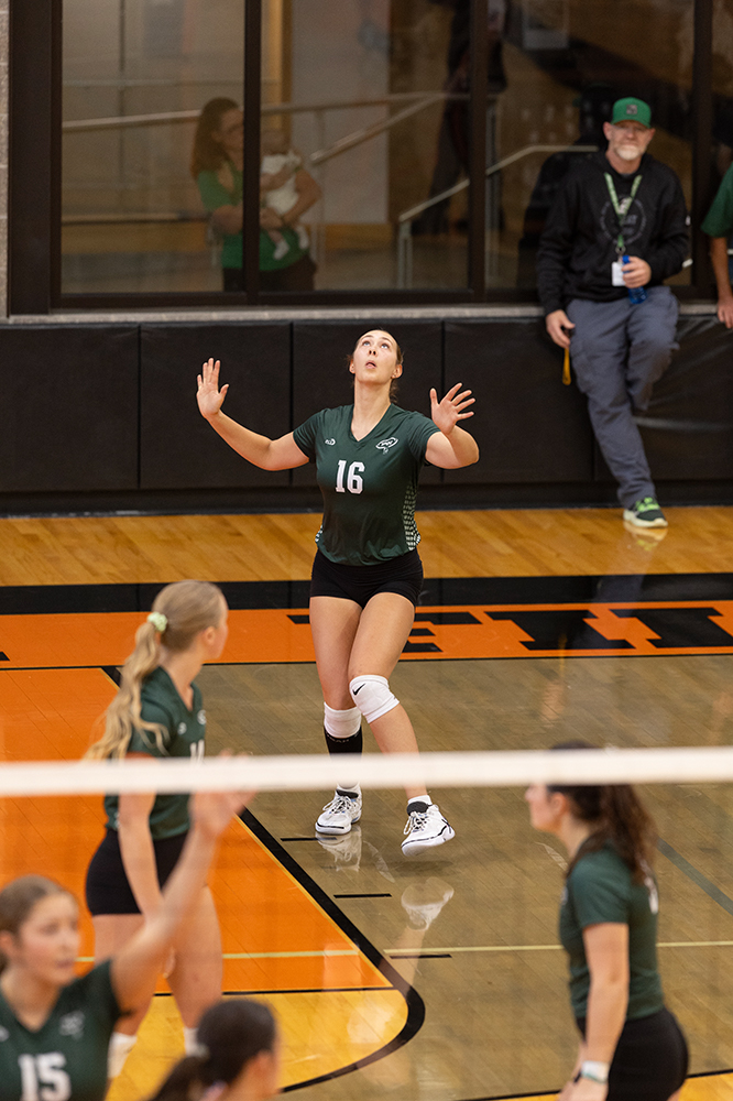 %_tempFileName1M6A5937%