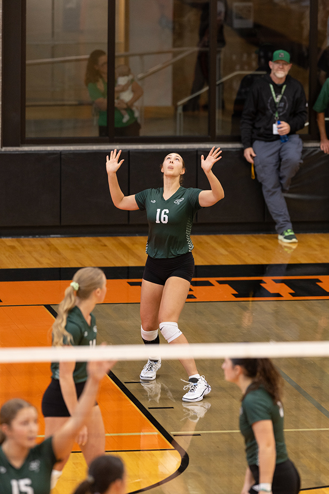 %_tempFileName1M6A5938%