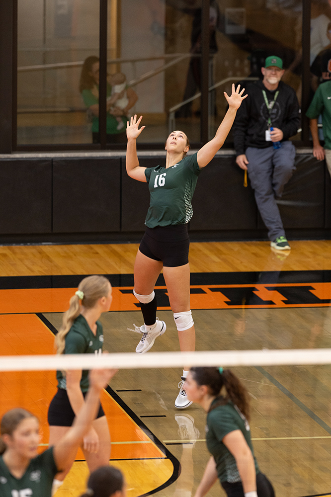 %_tempFileName1M6A5940%