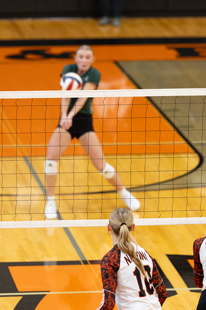 %_tempFileName1M6A5951%