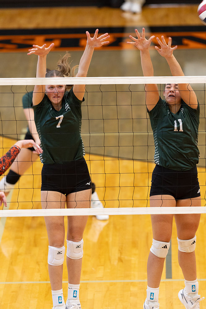 %_tempFileName1M6A5958%