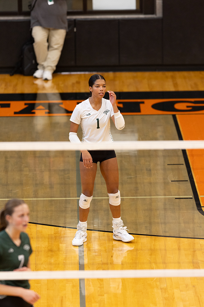 %_tempFileName1M6A5962%