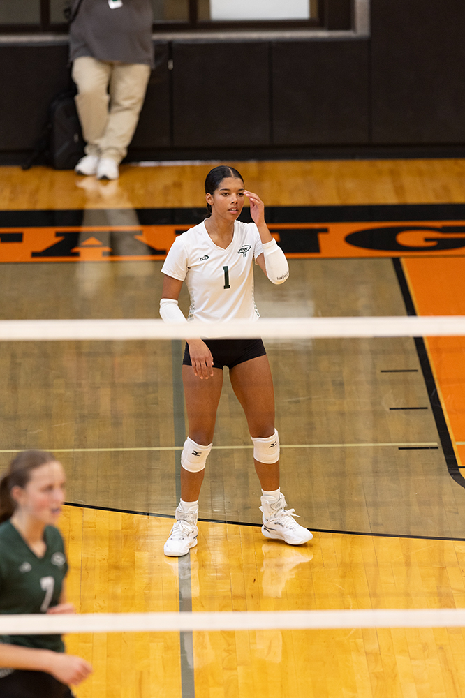 %_tempFileName1M6A5963%