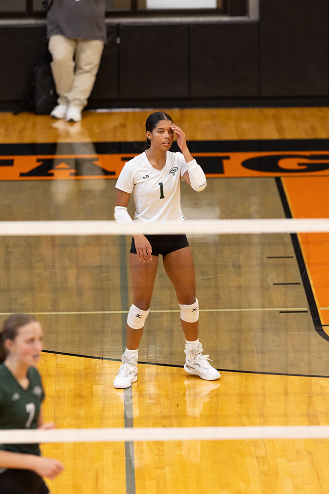 %_tempFileName1M6A5964%