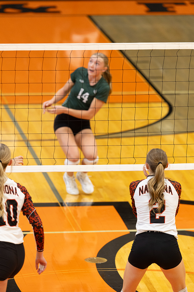 %_tempFileName1M6A5967%