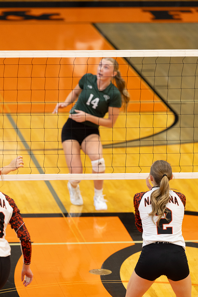 %_tempFileName1M6A5968%