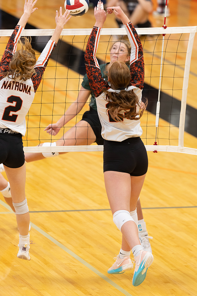 %_tempFileName1M6A5982%