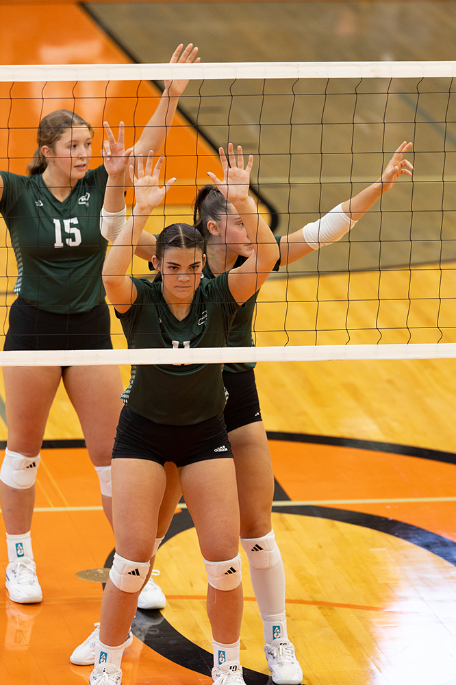 %_tempFileName1M6A5995%