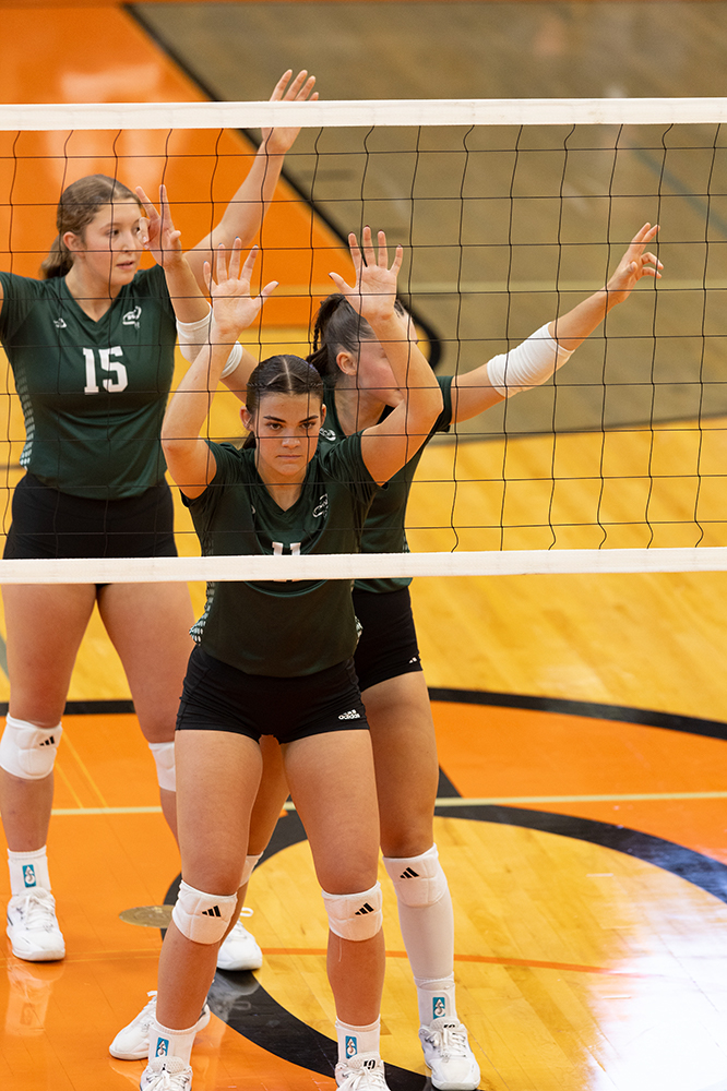 %_tempFileName1M6A5996%