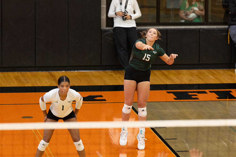 %_tempFileName1M6A6018%