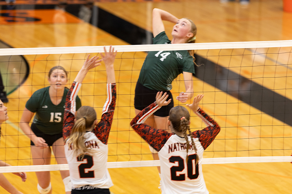 %_tempFileName1M6A6019%