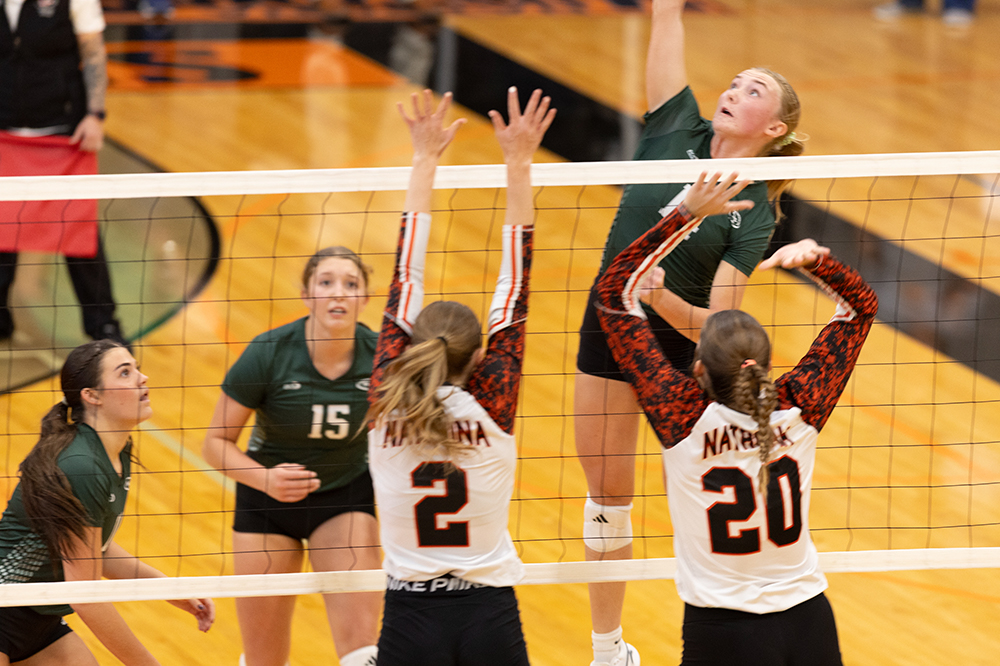 %_tempFileName1M6A6020%