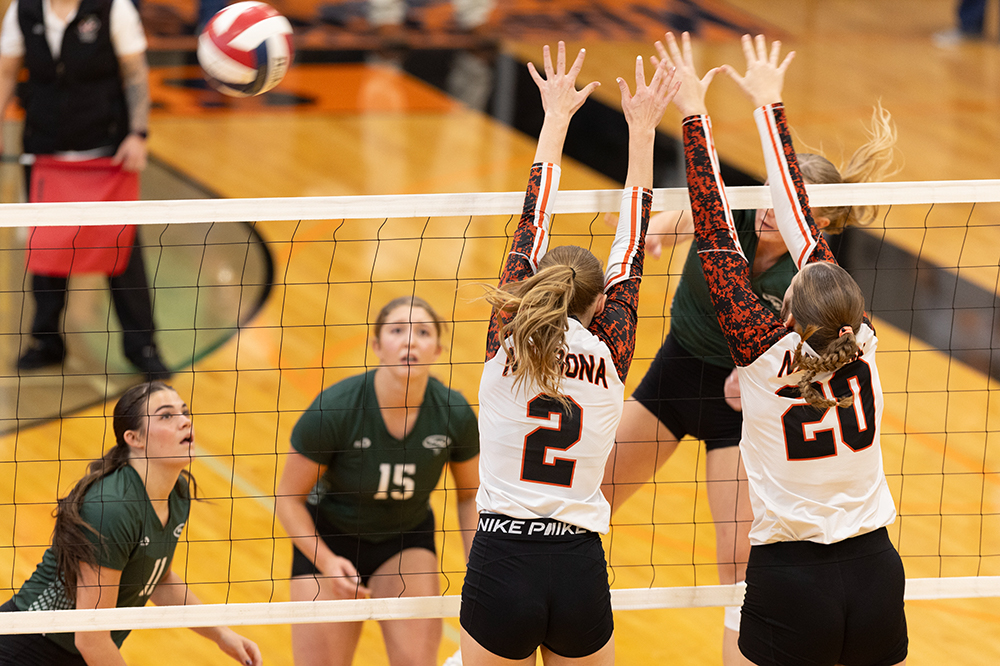 %_tempFileName1M6A6022%