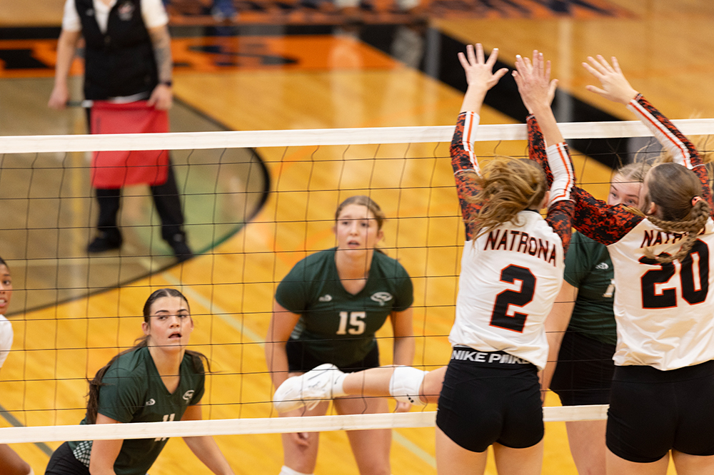 %_tempFileName1M6A6024%