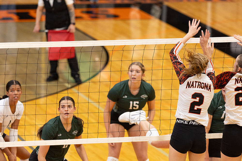 %_tempFileName1M6A6025%