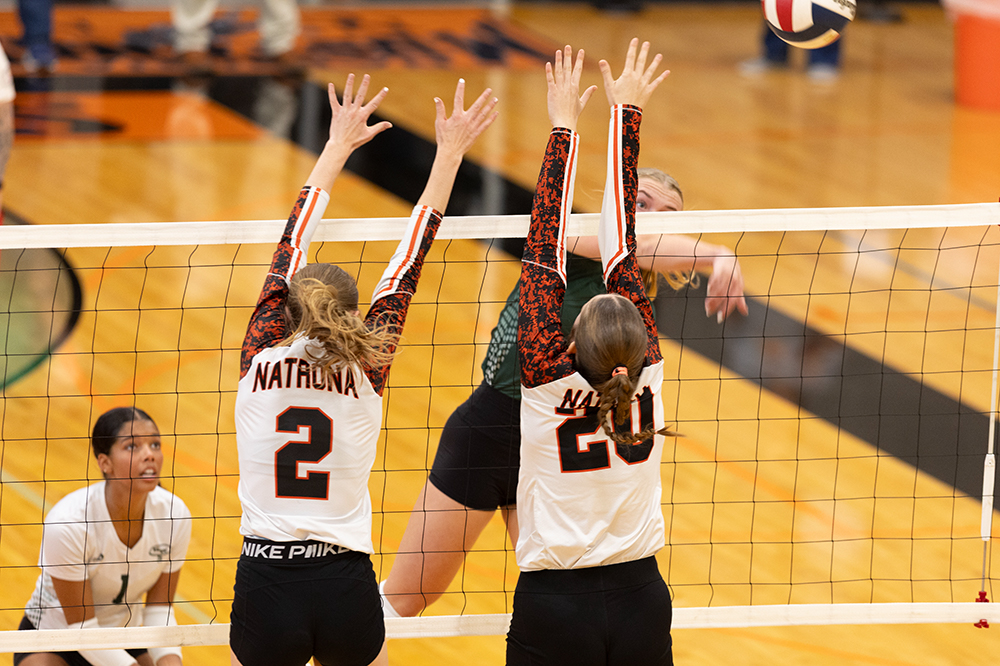 %_tempFileName1M6A6031%